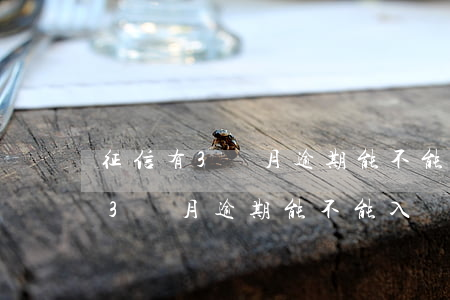 征信有3個月逾期能不能入職銀行-征信有3個月逾期能不能入職銀行工作