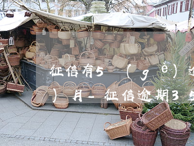 征信有5個(gè)逾期超過40個(gè)月-征信逾期35次