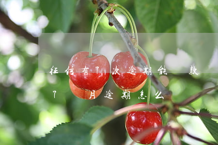 征信有7次逾期能貸款嗎(征信連續(xù)7個月逾期怎么辦)