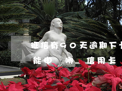 征信有90天逾期下卡-征信有90天逾期能申請哪個信用卡