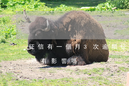 征信有一個月3次逾期(征信有一個月3次逾期有影響嗎)
