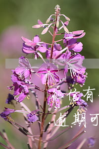 征信有一條逾期辦理不了信用卡-征信有過逾期可以辦理信用卡
