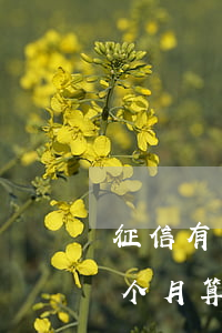 征信有一次一个月逾期严重吗-征信逾期一个月算一次吗
