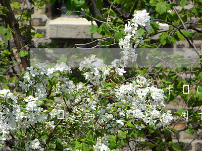 征信有一次信用卡嚴(yán)重逾期(一年內(nèi)信用卡逾期兩次影響征信嗎)