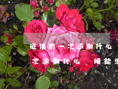 征信有一次逾期什么時候能消除-征信有一次逾期什么時候能消除記錄