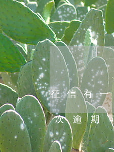征信有一次逾期可以办公务卡吗-征信有一次逾期可以办公务卡吗知乎