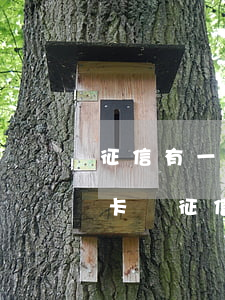 征信有一次逾期可以申請(qǐng)信用卡嗎(征信有一次逾期能辦信用卡嗎)