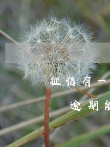 征信有一次逾期可以申請信用卡嗎（征信有1個逾期能申請信用卡嗎）