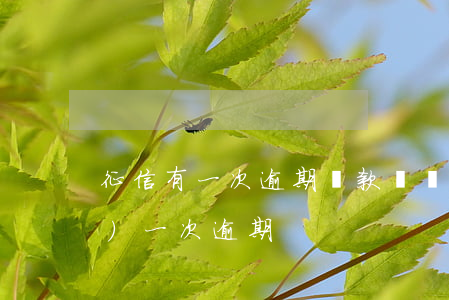 征信有一次逾期還款記錄(征信有過(guò)一次逾期)