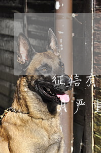 征信有一笔逾期一个月(征信有一次逾期一个月严重吗)