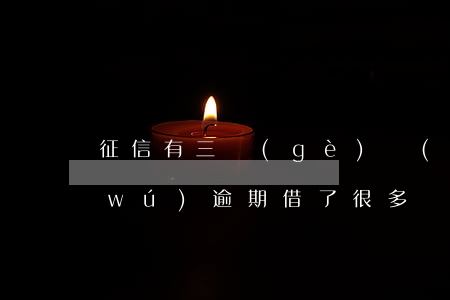 征信有三個(gè)網(wǎng)貸無(wú)逾期(借了很多網(wǎng)貸沒(méi)有逾期征信會(huì)好嗎)