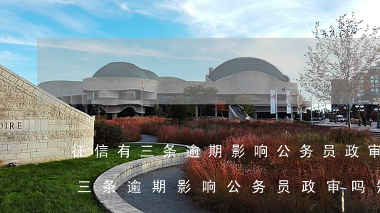 征信有三条逾期影响公务员政审吗-征信有三条逾期影响公务员政审吗知乎