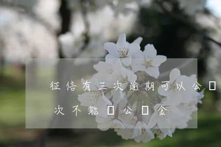 征信有三次逾期可以公積金嗎 征信逾期多少次不能貸公積金