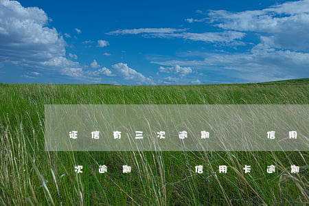 征信有三次逾期記錄信用卡逾期-征信有三次逾期記錄信用卡逾期怎么辦
