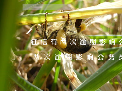 征信有两次逾期影响公务员政审吗-征信有两次逾期影响公务员政审吗知乎