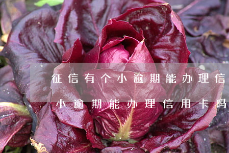 征信有个小逾期能办理信用卡吗-征信有个小逾期能办理信用卡吗有影响吗