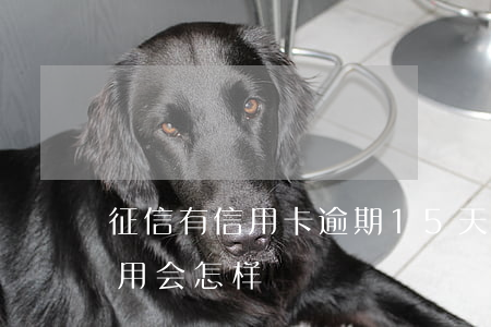 征信有信用卡逾期15天(银行逾期15天信用会怎样)