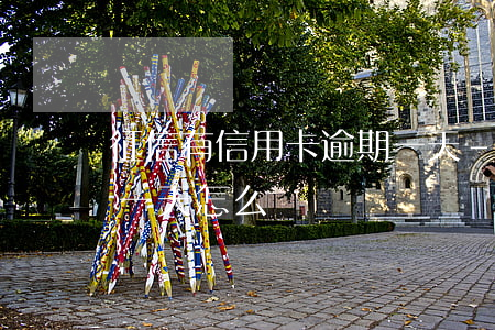 征信有信用卡逾期一天-征信有信用卡逾期一天怎么辦