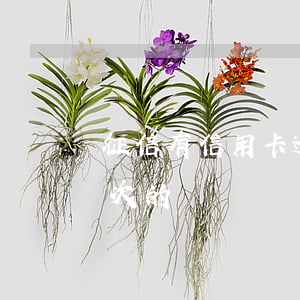 征信有信用卡逾期一次(征信有信用卡逾期一次的嗎)