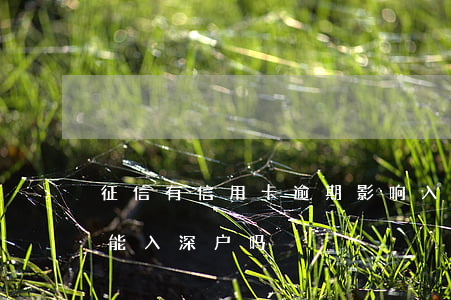 征信有信用卡逾期影响入深户吗(征信有问题能入深户吗)