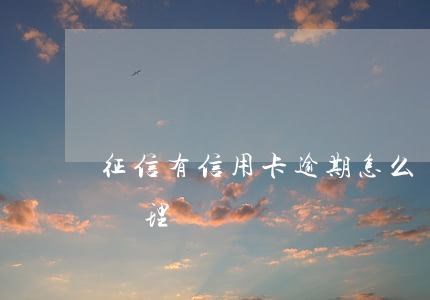 征信有信用卡逾期怎么處理(征信有逾期如何處理)