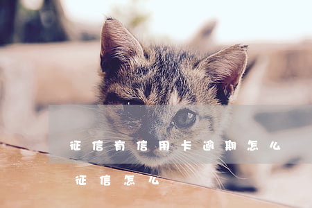 征信有信用卡逾期怎么辦（信用卡逾期已還完征信怎么辦）
