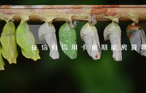 征信有信用卡逾期能房貸嗎