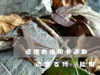 征信有信用卡逾期記錄(征信有信用卡逾期記錄微信支付還能用嗎?)