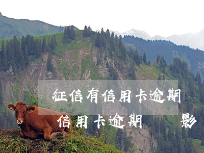 征信有信用卡逾期記錄怎么辦上海-征信有信用卡逾期記錄影響貸款嗎