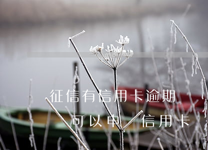 征信有信用卡逾期記錄會怎樣(征信有逾期記錄可以申請信用卡嗎)