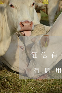 征信有信用卡逾期記錄都7年了怎么辦（征信有信用卡逾期記錄都7年了）
