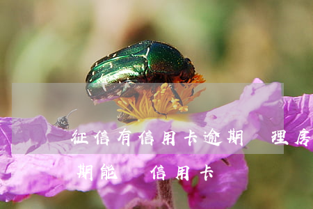 征信有信用卡逾期辦理房貸嗎 征信有貸款逾期能辦信用卡嗎