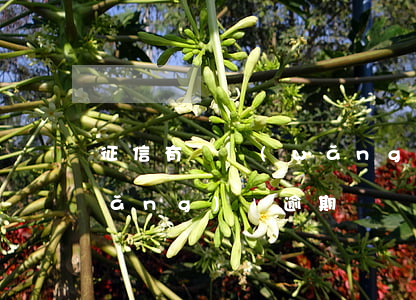 征信有個網(wǎng)貸逾期3年(網(wǎng)貸逾期兩個月多久征信正常)