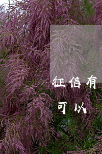 征信有個逾期怎么貸款(征信有一條逾期記錄可以辦理貸款么)