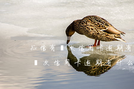 征信有兩次信用卡逾期有什么影響-征信有兩次信用卡逾期有什么影響嗎
