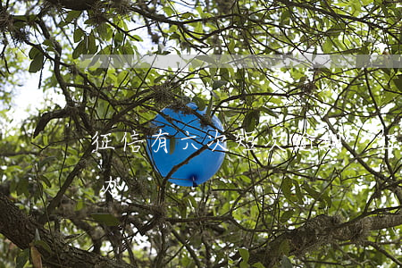 征信有六次短次逾期-征信有六次逾期怎么办