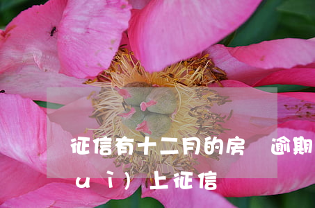 征信有十二月的房貸逾期(逾期十二天會(huì)上征信嗎)