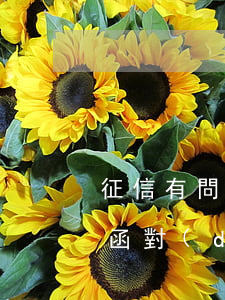 征信有問題可以當(dāng)律師嗎(律師函對(duì)個(gè)人征信有影響嗎)