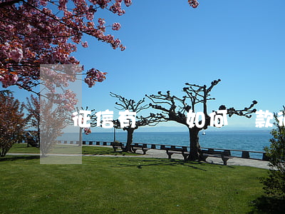 征信有問題如何貸款(征信不夠怎么貸款)