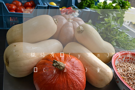 征信有嚴(yán)重逾期怎么貸款(征信有嚴(yán)重逾期怎么貸款)