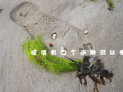 征信有四个逾期可以申请信用卡吗