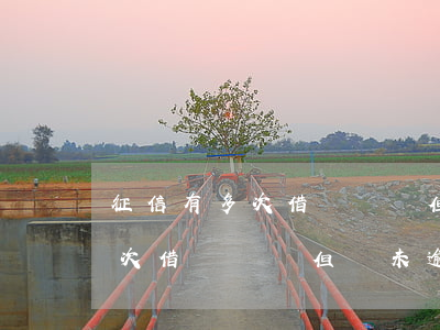 征信有多次借貸記錄但從未逾期-征信有多次借貸記錄但從未逾期怎么辦