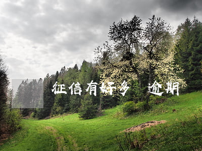 征信有好多條逾期記錄