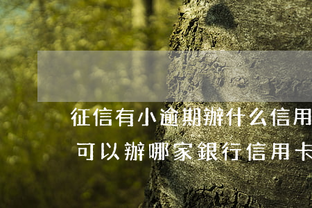 征信有小逾期辦什么信用卡下卡(征信有逾期可以辦哪家銀行信用卡)