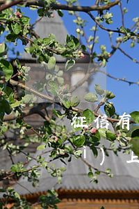 征信有幾期逾期影響房貸(房貸逾期會(huì)上征信嗎)
