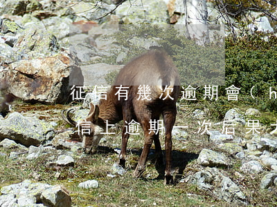 征信有幾次逾期會(huì)被起訴嗎-征信上逾期一次后果大么