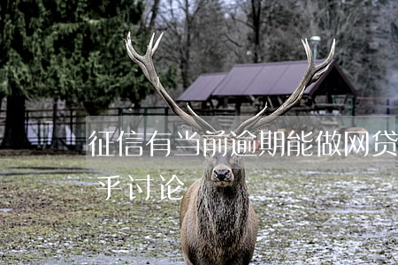 征信有当前逾期能做网贷吗？影响大吗？知乎讨论