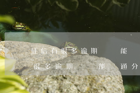 征信有很多逾期記錄能開通分付嗎-征信有很多逾期記錄能開通分付嗎安全嗎