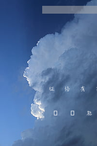 征信有支付寶逾期記錄(征信有支付寶逾期記錄還能擔(dān)保嗎)