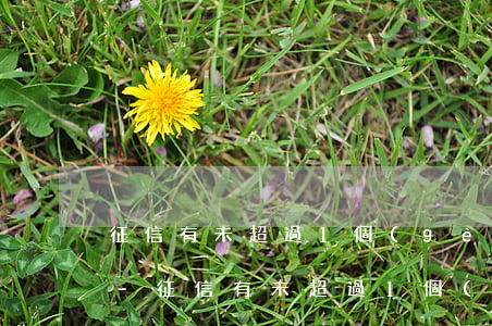 征信有未超過1個(gè)月的逾期怎么辦-征信有未超過1個(gè)月的逾期怎么辦呢